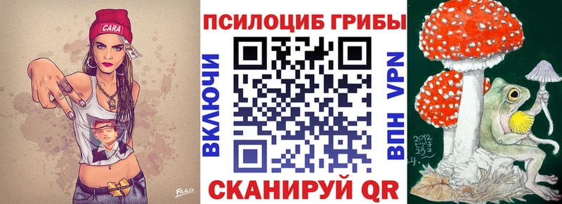 Купить где  Реутов  Галлюциногенные грибы GOLDEN TEACHER 