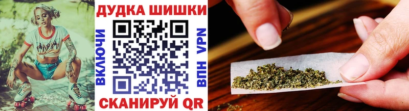 Купить где  Реутов  Бошки Шишки ГИДРОПОН 